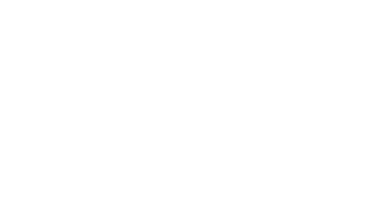 World Governments Summit logo